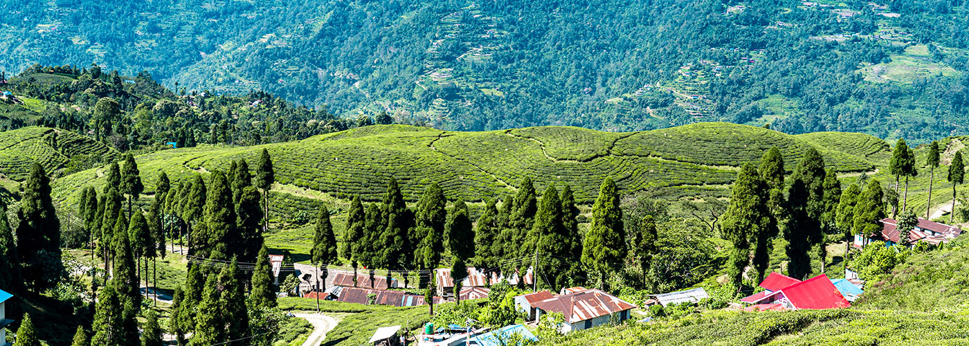 Darjeeling