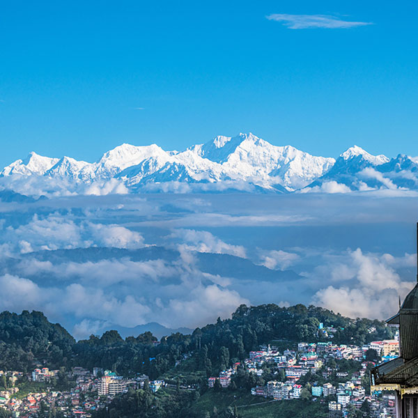 Best of Darjeeling Hills
